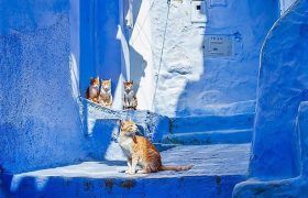 morocco vacation packages