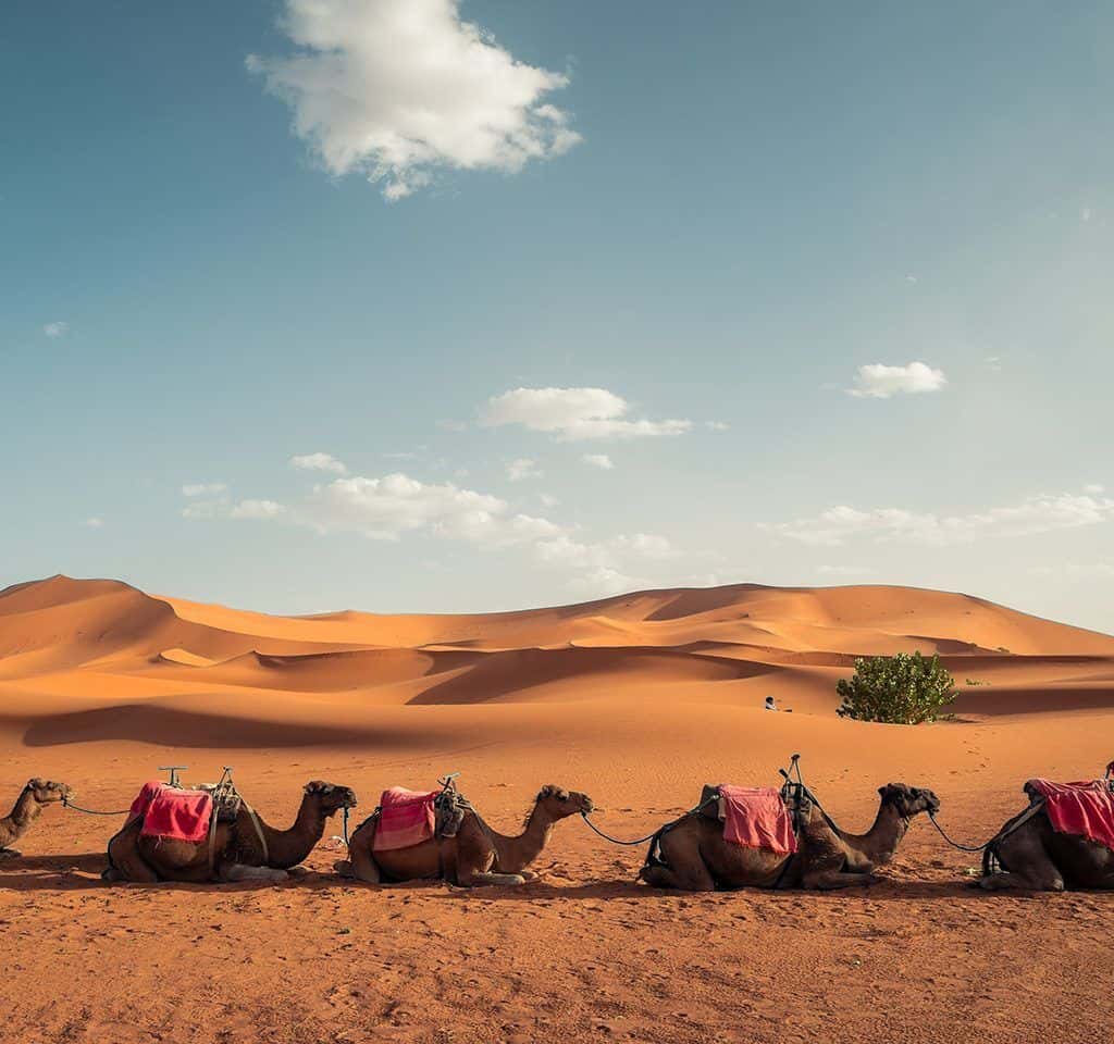 Morocco Vacation Packages