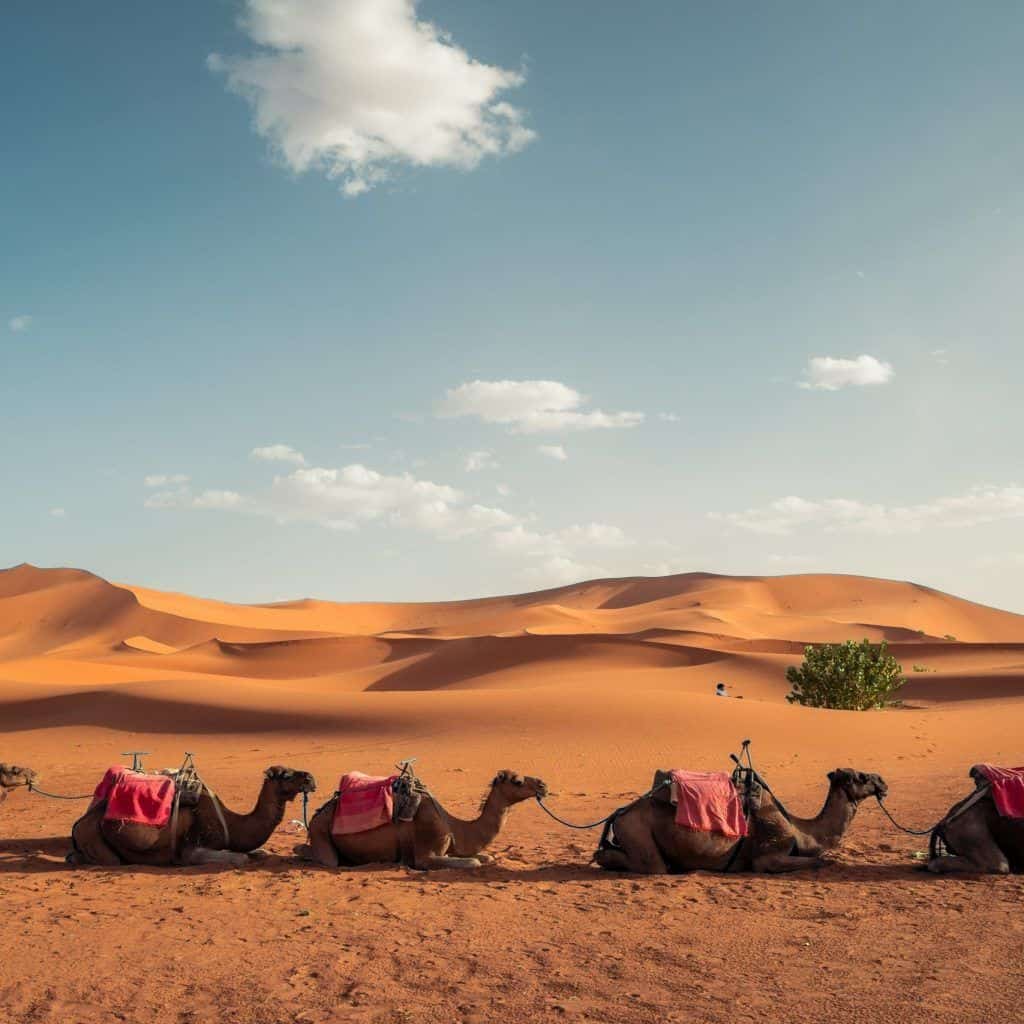 Marrakech to Merzouga desert tour