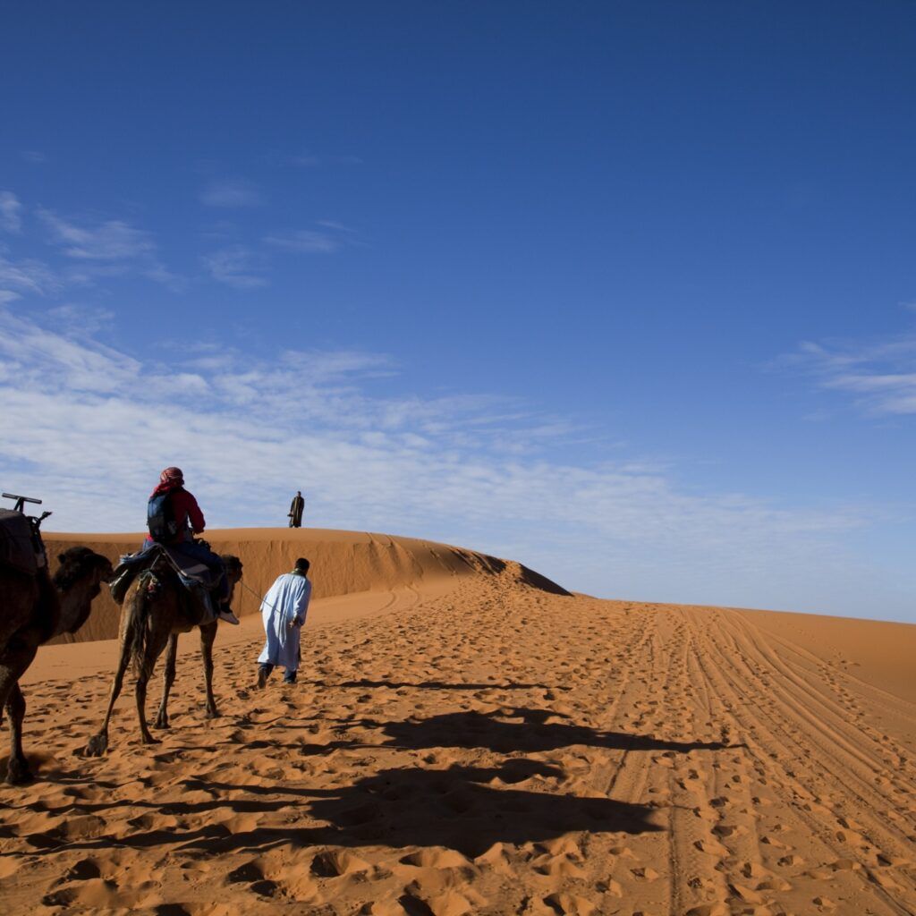 sahara desert tours