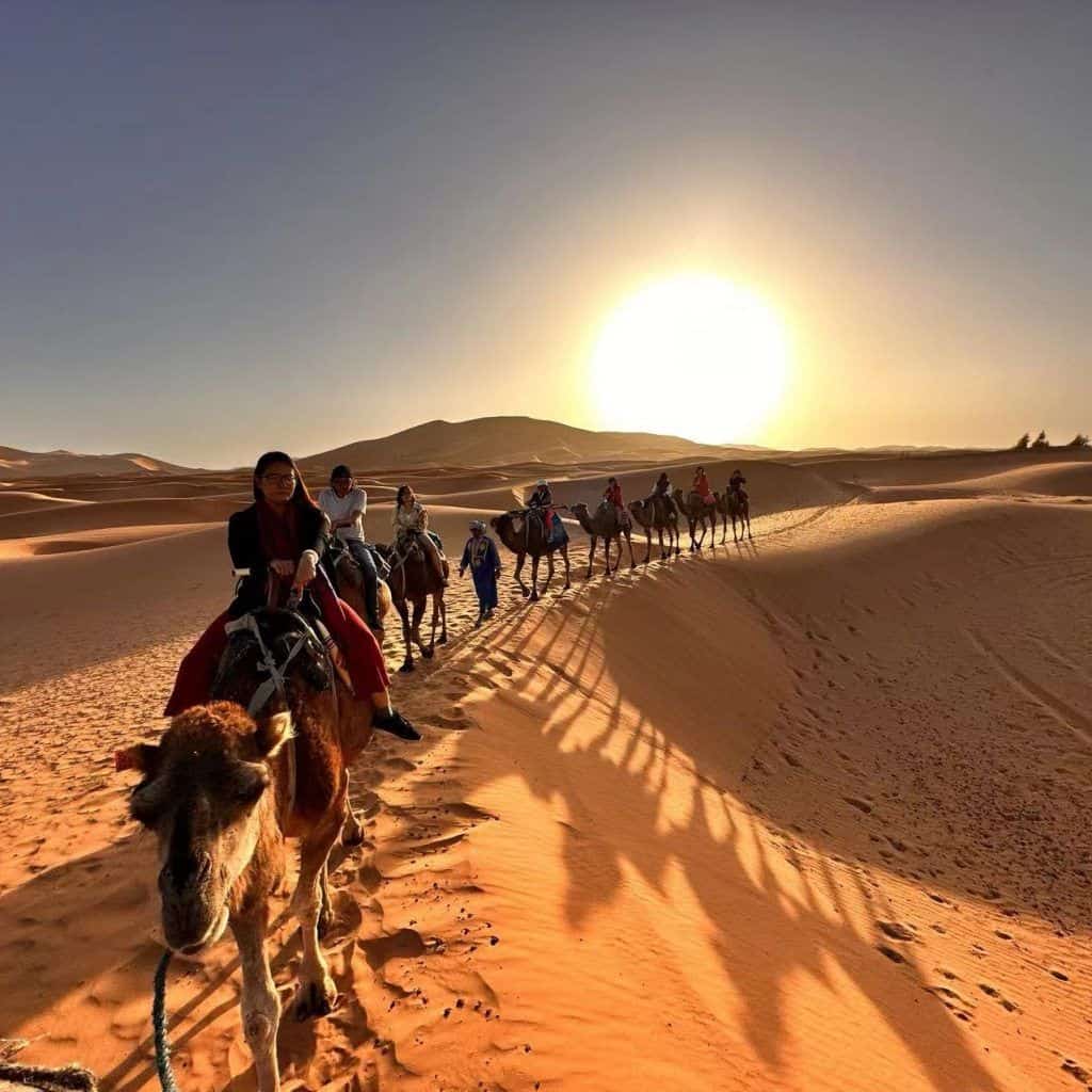 Atlas Mountains excursions