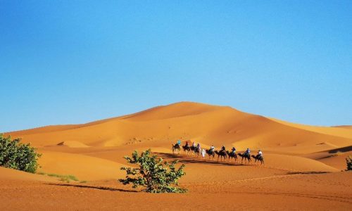 Morocco Vacation Packages
