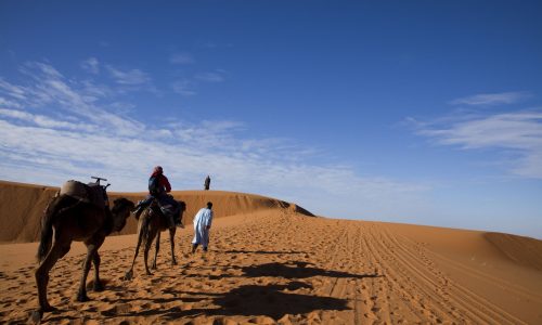 sahara desert tours