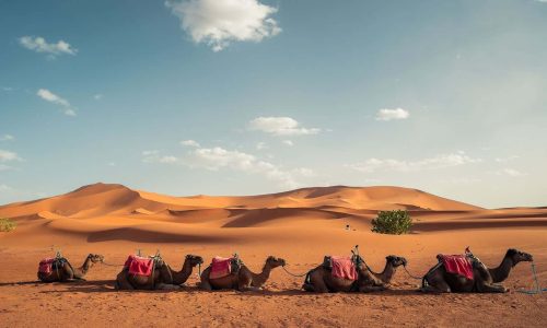 Morocco Vacation Packages