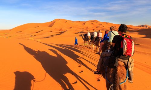 sahara desert tours